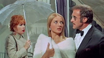 #8 Sweet Charity