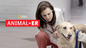 #6 Animal ER