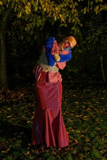 Fever Dreams of a Hermit poster