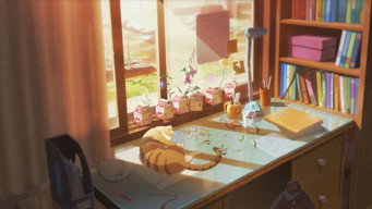#9 The Summer
