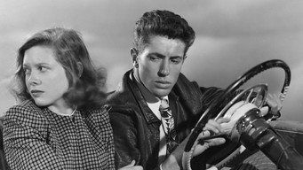 #4 They Live by Night
