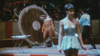 #3 Notes on the Circus