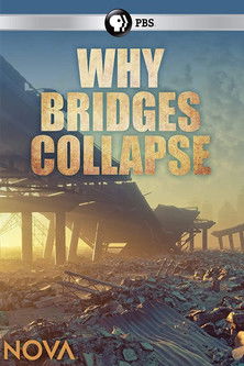 Why Bridges Collapse poster