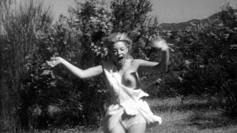 Tortured Females (1965)