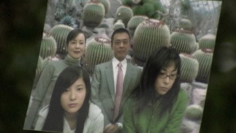#31 Noriko's Dinner Table