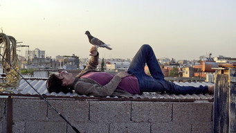 The Pigeon (2018)