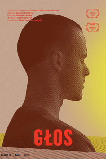 The Voice — Posters 2