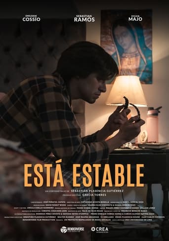 Poster of Está Estable