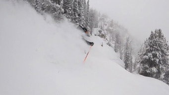 #4 Winterland