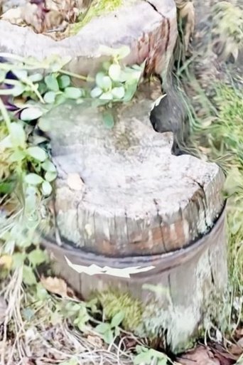 Vielleicht