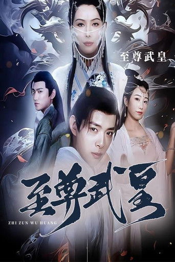 至尊武皇 poster