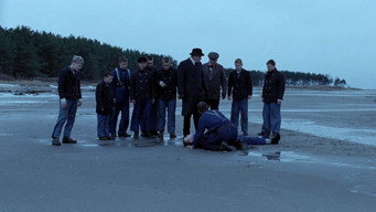 Король острова Бастой (2010)