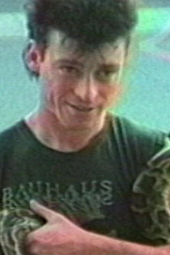 The Hundred Videos #2 (1996)