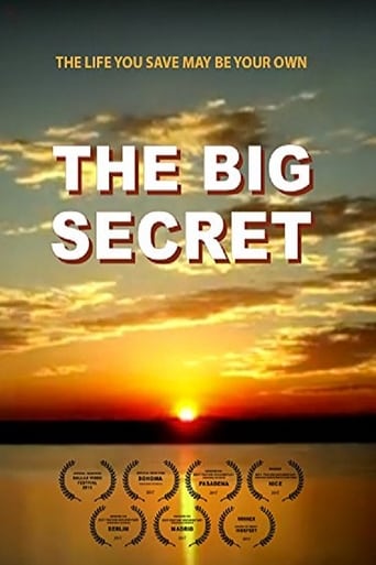 Poster of The Big Secret