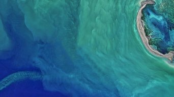 The Earthshot Prize: Repairing Our Planet - S0E01