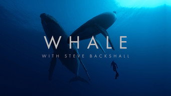 Whale with Steve Backshall (2023)