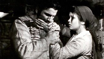 We're Cursed, Irina (1973)
