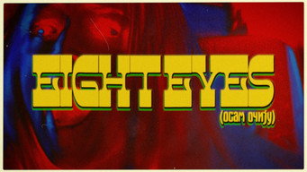 #12 Eight Eyes