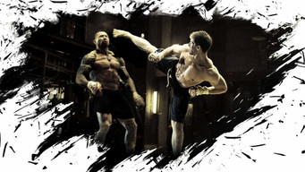 Galeria 2 - Kickboxer: Venganza