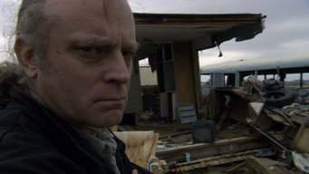 The Wild Blue Yonder (2005)