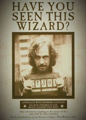 Poster 251