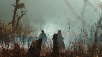 Mishing (The Apparition) (2018)