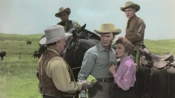 Texas Lady (1955)