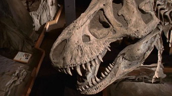 The Dinosaur Hunter (2000)