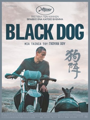 狗阵
