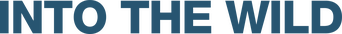Into the Wild logo