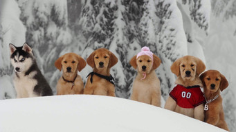 #14 Снігова п'ятірка