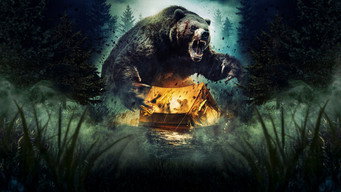 #12 Grizzly Night