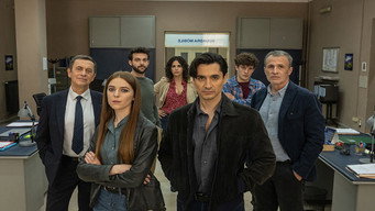 Inspector Gerri (2025- )