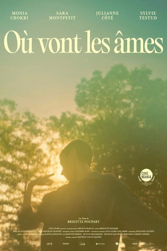 Where Souls Go (2025)