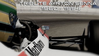 Ayrton Senna (1995)