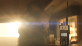 #211 Каскадер