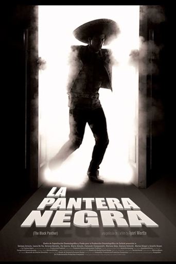 La pantera negra en streaming 