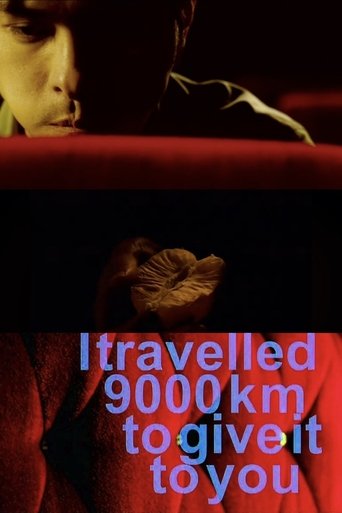 I Travelled 9000 km to Give It to You (2007)