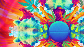 Animals on Drugs (2025- )