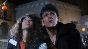 Vacation of Terror II: Diabolical Birthday (1989)