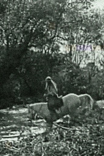 The White Squaw (1920) The White Squaw (1920)