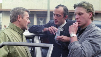 Private investigation (1987)