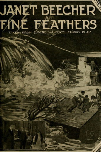 Fine Feathers (1915)