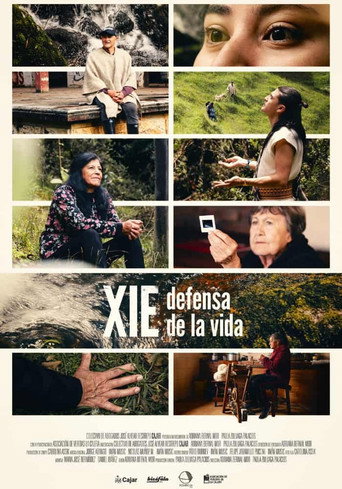 XIE. Defensa de la vida poster