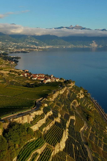 Horizons: La Suisse poster