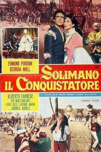 Poster 7