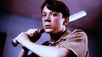 The Paper Boy (1994)