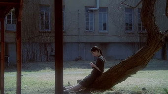 #16 Ластівковий Метелик