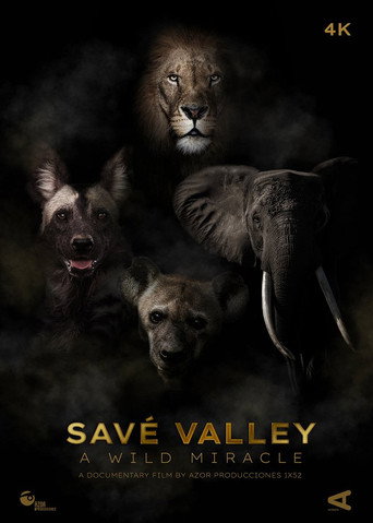 Savé Valley. A Wild Miracle