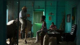 #5 Sugar Island